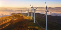 Sustainable Procurement. What is it and how can it help you?