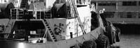 Queensland Innovation Tender for Automated Fisheries Monitoring