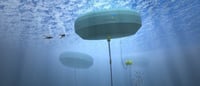Albany Seeking Investors For Making Waves in WA