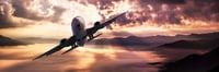 Expressions of Interest for Lord Howe Island Air Services