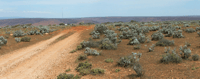 Lincoln Gap Wind Farm