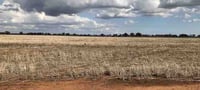 Numurkah Solar Farm Industry Briefing