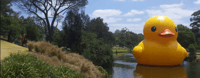 Parramatta Park Cafe - Expression of Interest