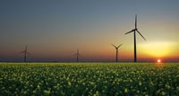 Reverse Auction Renewables RFT Victoria